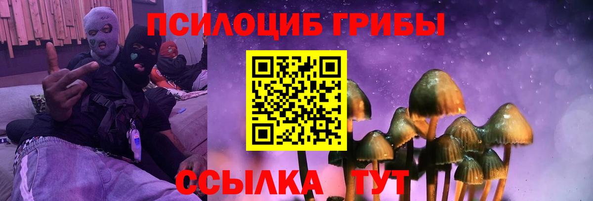 Псилоцибиновые грибы Cubensis Сорочинск